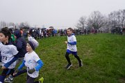 DSC00518 DSC00518